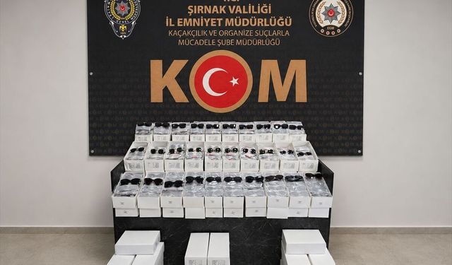 Şırnak'ta kaçakçılık operasyonunda yakalanan 1 şüpheli tutuklandı