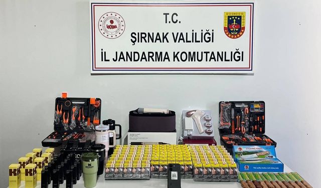 Şırnak'ta kaçakçılık ve asayiş operasyonlarında 1 zanlı tutuklandı