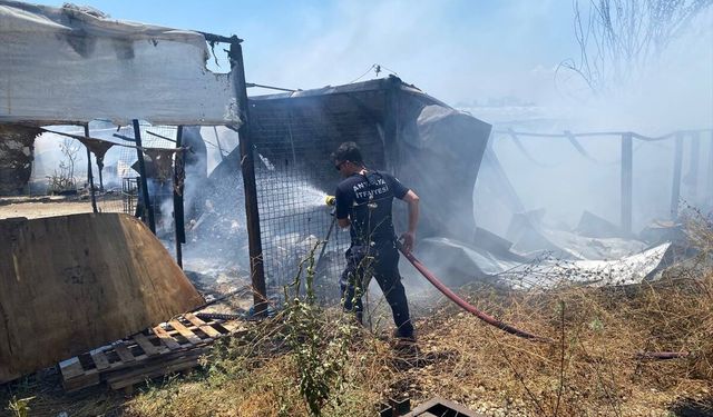 Antalya'da tarım işçilerinin kaldığı 6 konteyner yandı