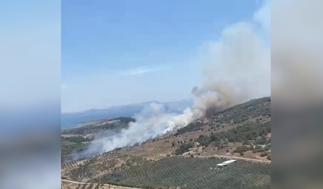 İzmir'de Korkutan Orman Yangını! Alevler Tarım Arazisinden Ormana Sıçradı