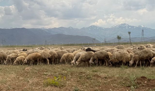 Kahramanmaraş’a Dev Tarım ve Hayvancılık Yatırımı Müjdesi!