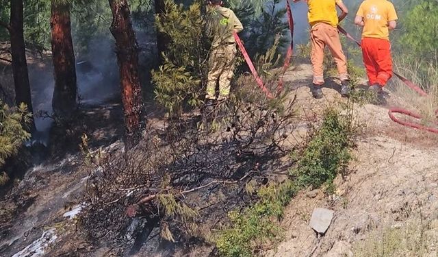 Hatay'da ormanlık alanda çıkan yangın söndürüldü