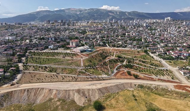Kahramanmaraş’a Yeni Nefes: Karbon Yutak Alanı Yükseliyor