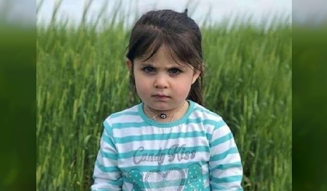 Leyla Aydemir Davasında 8 Yıl Sonra Karar Çıktı: Mahkeme Sanığa Müebbet Hapis Cezası Verdi!