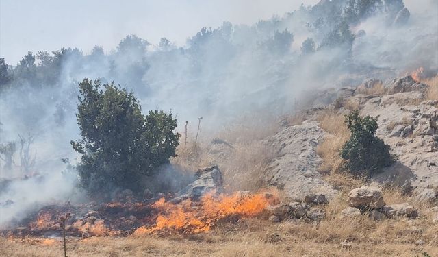 Gaziantep'te orman yangını kontrol altına alındı