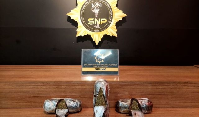 Şanlıurfa'da uyuşturucu operasyonunda yakalanan zanlı tutuklandı
