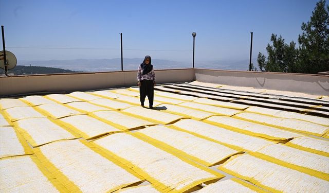 Komşularıyla Başladı, Avrupa’ya Açıldı: DOĞAKA ile Maraş Tarhanasında Seri Üretim Dönemi!
