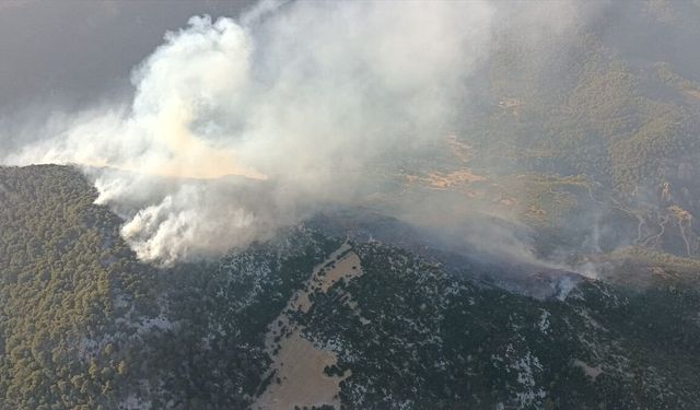 Antalya Kaş'ta Orman Yangını! Havadan ve Karadan Yoğun Müdahale Sürüyor