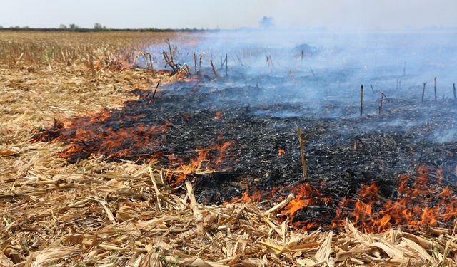 Şanlıurfa’da Anız Yakan 303 Kişiye 21,2 Milyon Lira Ceza