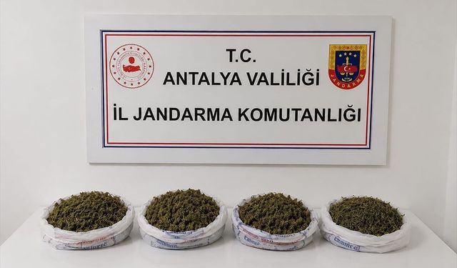 Antalya'da 1 kilo 979 gram esrar ele geçirildi