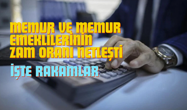 Temmuz Ayı Enflasyon Rakamları Açıklandı! Memur ve Emeklilerin Zam Oranı Belli Oldu