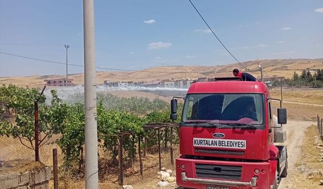 Siirt'te iki ayrı noktada çıkan yangınlar söndürüldü