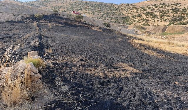 Şırnak'ta çıkan anız yangınında 1 kişi yaralandı