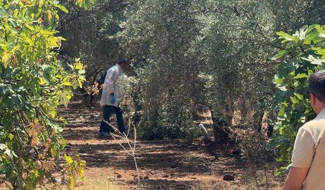 Antalya'da Kan Donduran Olay: Bir Genç Zeytinlik Alanda Elleri Bağlı Halde Ölü Bulundu!