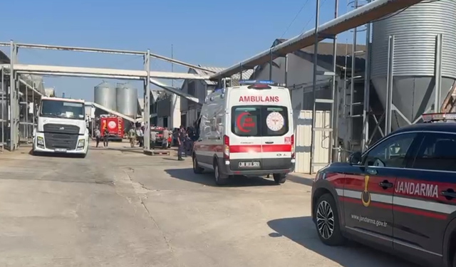 Tavuk Çiftliğinde Korkutan Yangın! 12 Bin Tavuk Telef Oldu