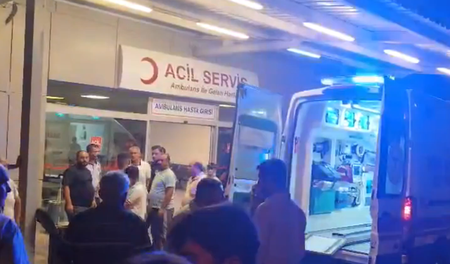 İki Otomobil Kafa Kafaya Çarpıştı: Kazada 3 Kişi Öldü, 2 Kişi Yaralandı