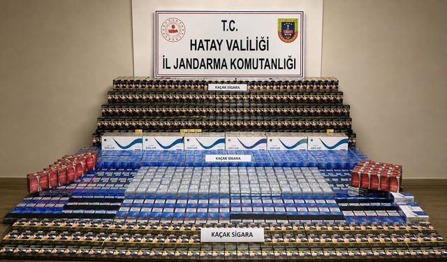 Hatay'da kaçakçılık operasyonunda 1 şüpheli yakalandı