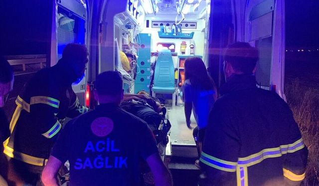 Mardin'de yol kenarına savrulan otomobildeki 3 kişi yaralandı