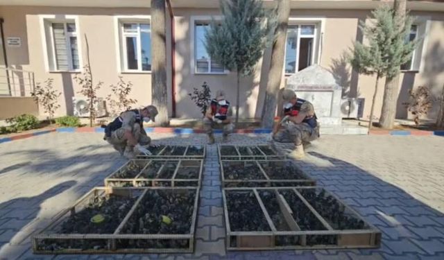 Hatay'da Traktör Römorkunda 2 Bin 114 Saka Kuşu Bulundu, Rekor Ceza Kesildi!