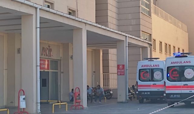 Şanlıurfa'da silahlı saldırıda 2 kişi yaralandı