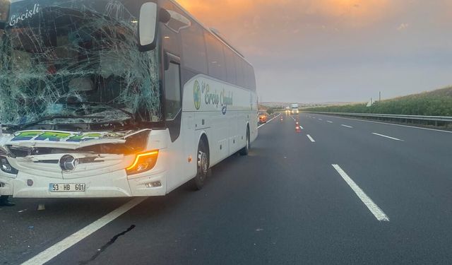 Şanlıurfa'da yolcu otobüsünün tıra çarptığı kazada 2 kişi yaralandı