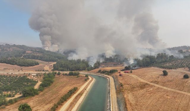 Adana'da 3 İlçeyi Etkisi Altına Alan Orman Yangını Kontrol Altına Alındı