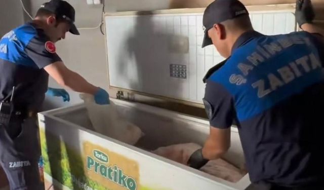 Gaziantep'te 500 kilogram et ve ciğer imha edildi