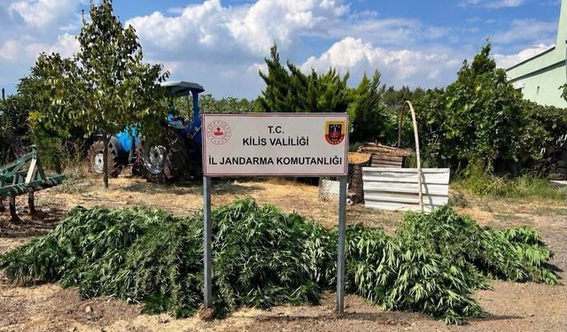 Kilis'te 40 kilo 500 gram esrar ele geçirildi