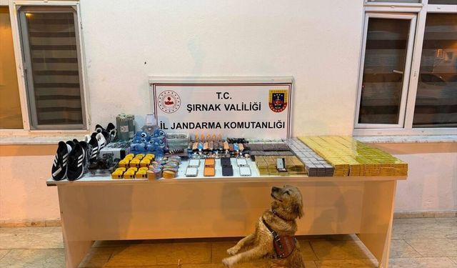 Şırnak'ta kaçakçılık ve asayiş operasyonlarında 196 şüpheli hakkında işlem yapıldı