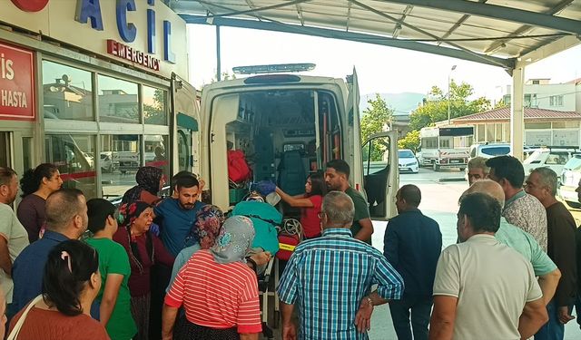 Adana'da kestiği ağaç üzerine devrilen kişi ağır yaralandı