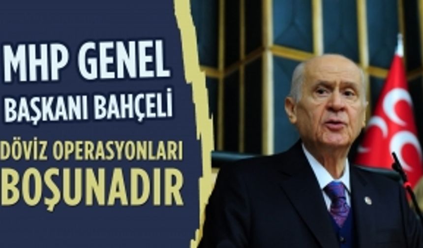 MHP Genel Başkanı Bahçeli: Döviz operasyonları boşunadır