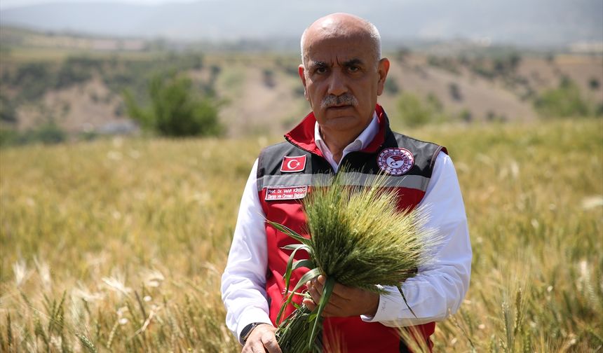 Bakan Kirişci 21 milyon ton buğday  beklendiğini açıkladı
