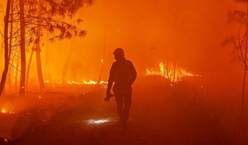 Küresel ısınma nedeniyle 'orman yangını sezonu' daha erken başlıyor