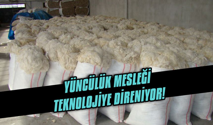 Yüncülük mesleği teknolojiye direniyor!