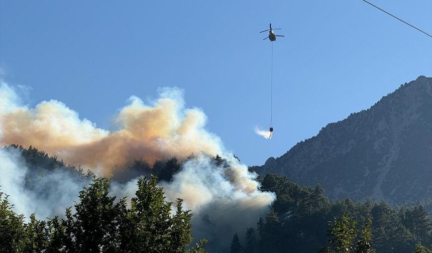 Kahramanmaraş'ta çıkan orman yangını kontrol altına alındı