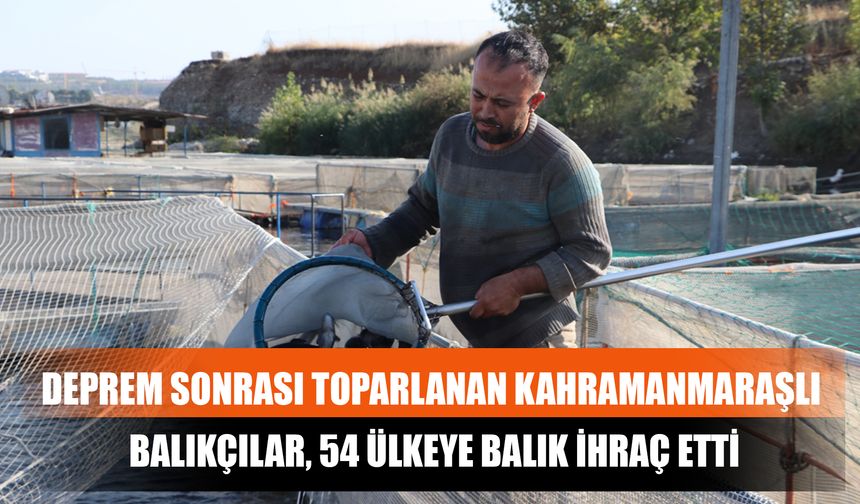 Deprem Sonrası Toparlanan Kahramanmaraşlı Balıkçılar, 54 Ülkeye Balık İhraç Etti