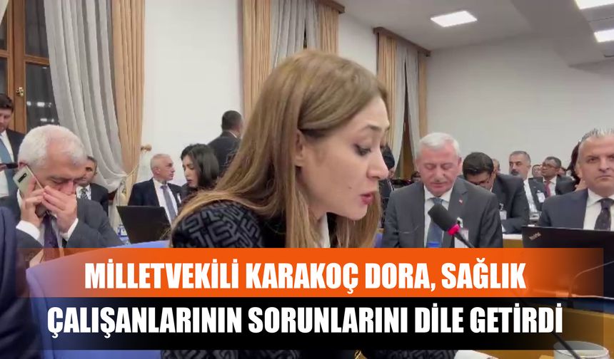 Milletvekili Karakoç Dora, Sağlık Çalışanlarının Sorunlarını Dile Getirdi