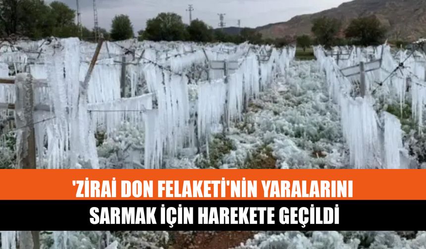 'Zirai Don Felaketi'nin Yaralarını Sarmak İçin Harekete Geçildi