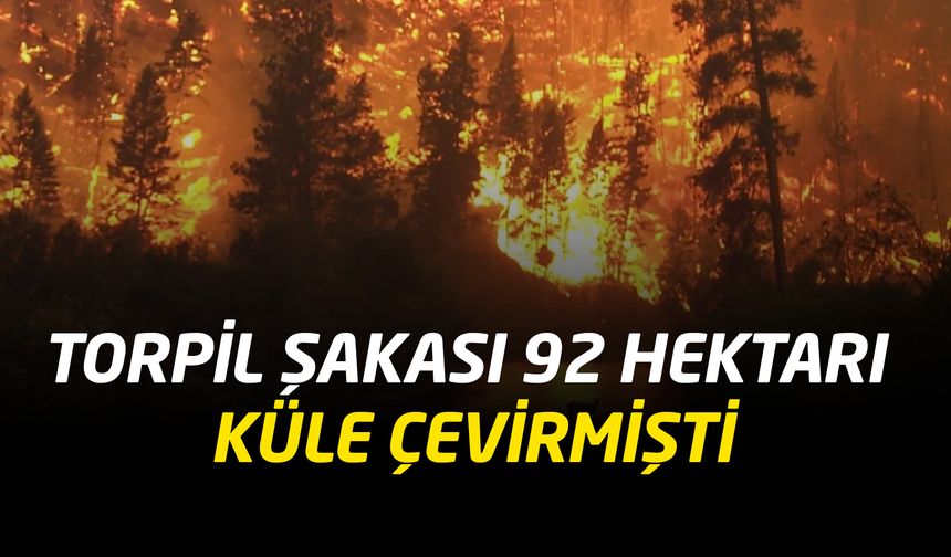 Torpil Şakası 92 Hektarı Küle Çevirmişti