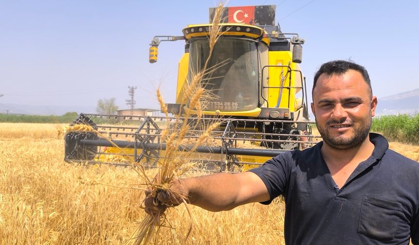 Buğday hasadı başladı, yetkililer tarlada incelemede bulundu