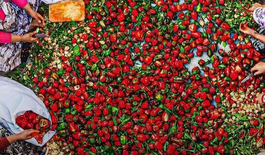 Kahramanmaraş’ın Bereketli Toprakları