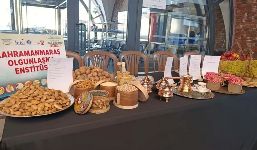 Onikişubat’ta Bağ Bozumu Festivali coşkusu!