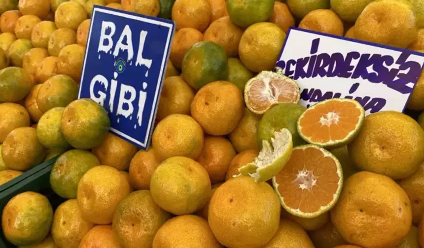 Kahramanmaraş'ta tezgahların gözdesi "portakal ve mandalina"