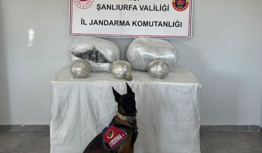 Şanlıurfa'da uyuşturucu operasyonunda 1 şüpheli yakalandı