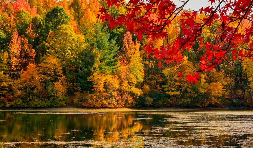 Bu kasım tarihe geçti.. 55 yılın sıcaklık rekoru kırıldı!