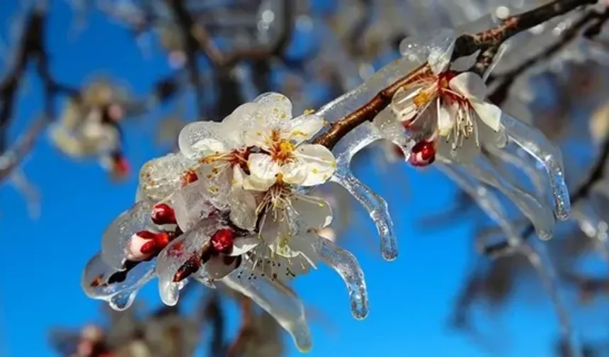 İlk Cemre Düştü, Gözler İkincisinde: Cemre Suya Ne Zaman Düşecek?