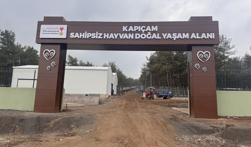 Depremde hasar gören Kapıçam Sokak Hayvanları Rehabilitasyon Merkezi yenilendi