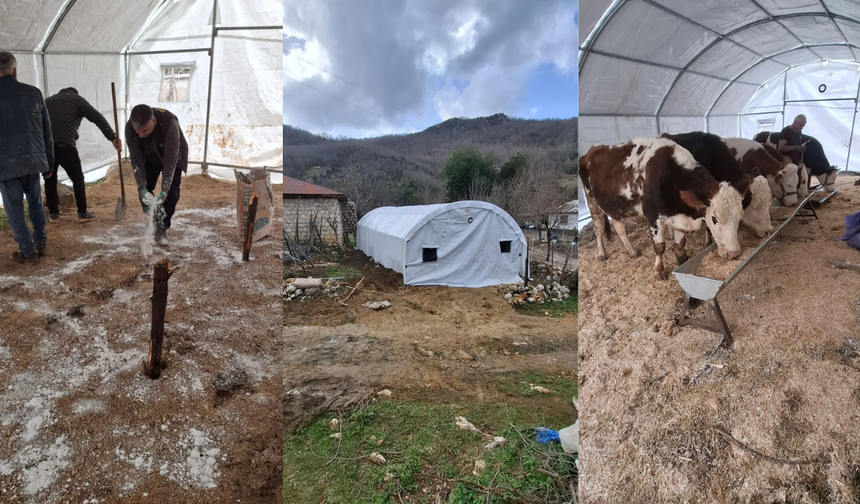 Andırın'da hortumda hasar gören ahır için çadır tahsis edildi