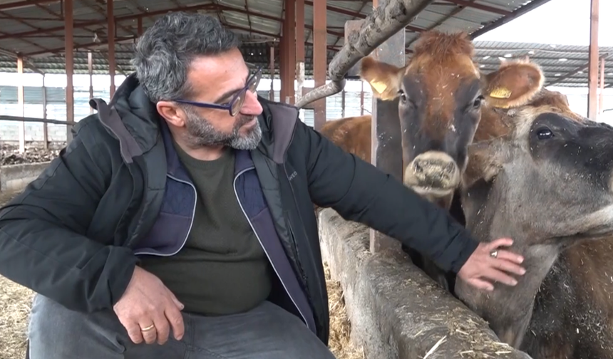 Depremzede besici, devlet desteğiyle hayvan sayısını katladı