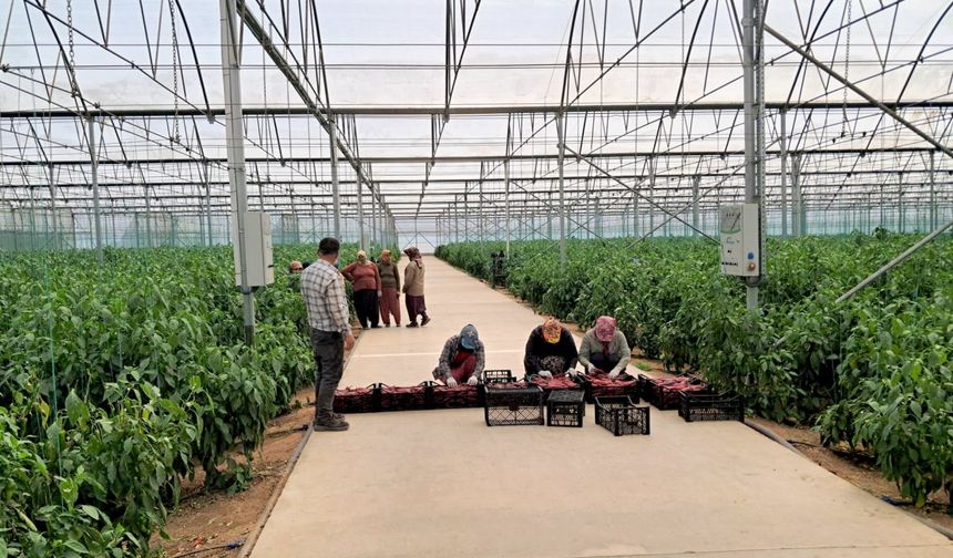 Kahramanmaraş'ta depremzede girişimcilere 452 milyon liralık hibe